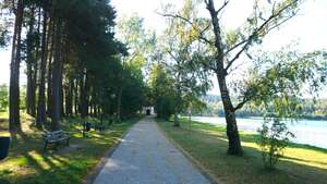 Ścieżki rowerowe nad jeziorem wielewskim