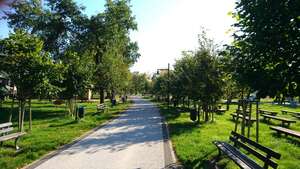 Chodnik nad jeziorem wielewskim